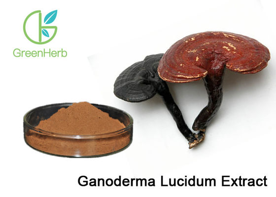 Ganoderma Lucidum Plant Extract Powder Reishi Mushroom Extract Powder