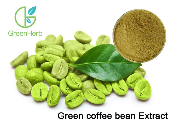 Plant Extract Powder , Pure Green Coffee Bean Extract For Weight Loss