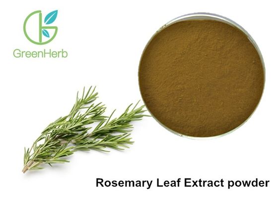 Herb Extract Natural Rosemary Leaf Extract Powder 5% Rosmarinic Acid