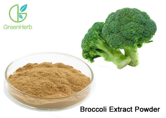 Pure Vegetable Extract Powder Broccoli Sprout Extract Powder 0.5% - 98% Sulforaphane