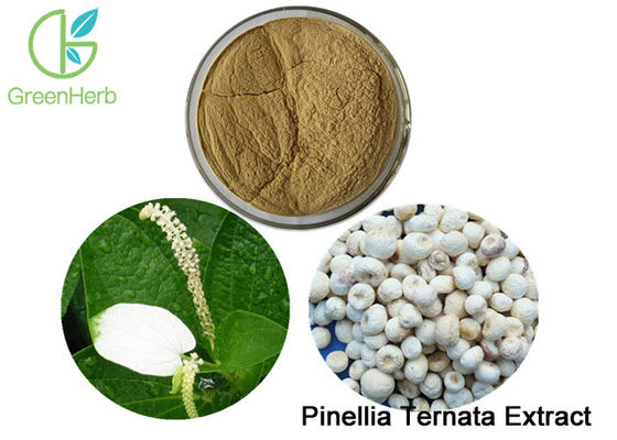 Remove Damp And Phlegm Plant Extract Powder Pinellia Ternata Extract