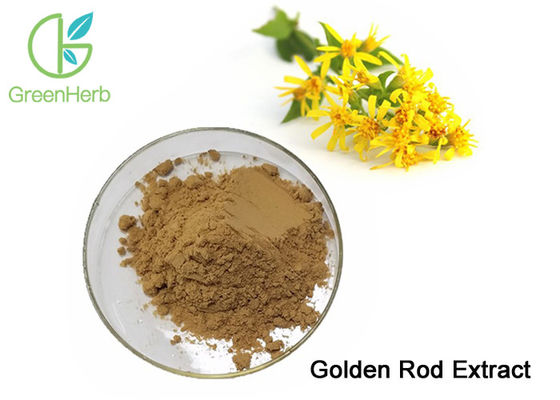 Food Supplement Plant Extract Powder Golden Rod Extract Treat Internal Bleeding