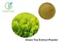 Pure Natural Green Tea Extract Powder Tea Polyphenols / Catechin / EGCG