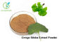 100% Natural Ginkgo Biloba Leaf Extract Powder Dilate Blood Vessels