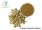ISO Passes Pure Natural Herbal Extract / Tribulus Terrestris Extract 40%-90% Saponins