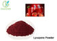 Natural / Fermentation Anti Oxidation Tomato Extract Powder Lycopene 2% 5% 6% 10% 20%