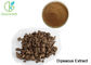 ISO Standard Teasel Root Extract Powder Tonifying The Liver And Kidney