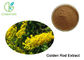 Food Supplement Plant Extract Powder Golden Rod Extract Treat Internal Bleeding