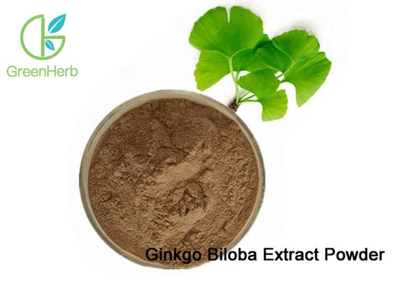 100% 자연적인 은행나무 Biloba 잎 추출물 분말은 혈관을 넓힙니다